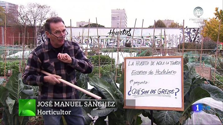 Aquí la Tierra - ¿Qué son los grelos?