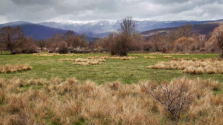 El tiempo - Cielo nuboso en el interior, y lluvia en la meseta norte y zona centro