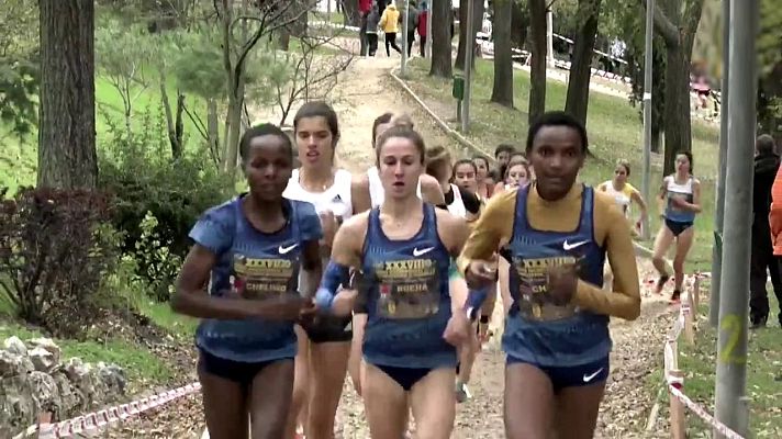 Cross - Cross Internacional de Alcobendas 2019. Resumen
