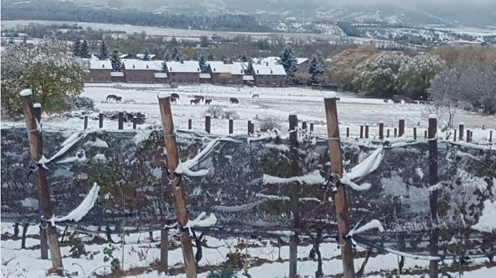 Lab24 - Viticultura al límite