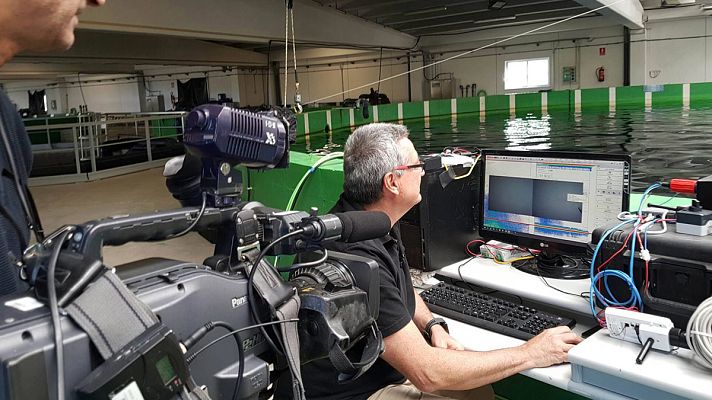 Lab24 - Domesticando al atún rojo