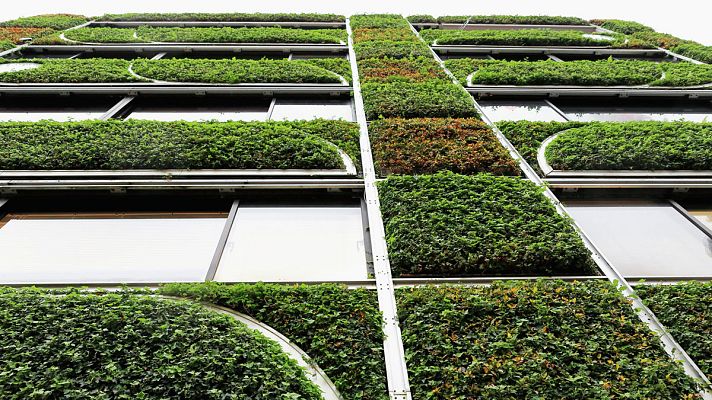  - Cubiertas verdes, reciclaje y coches eléctricos: así hacen frente al cambio climático en México, Rusia y China