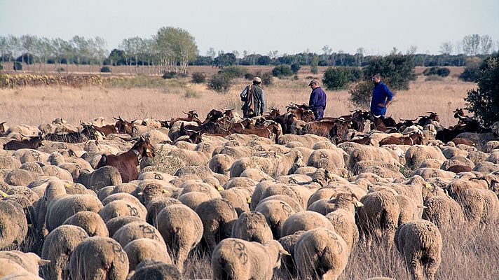 Telediario 1 - 'Barbecho', un documental que muestra el rostro de la España vaciada
