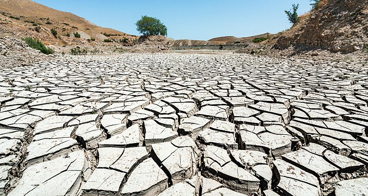 La mañana - Investigación: las consecuencias del cambio climático