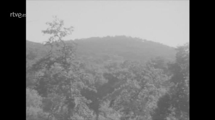 ¿Te acuerdas? - "El corcho en Cortegana (1968)