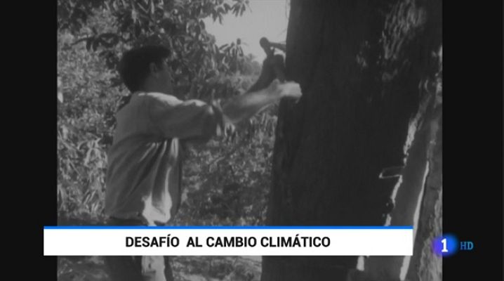  - Dehesa y cambio climático