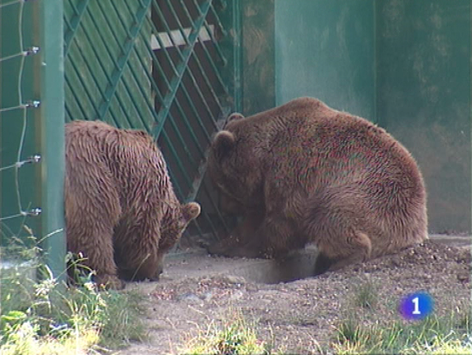 Panorama regional - 16/07/09 - Panorama Regional | Ver