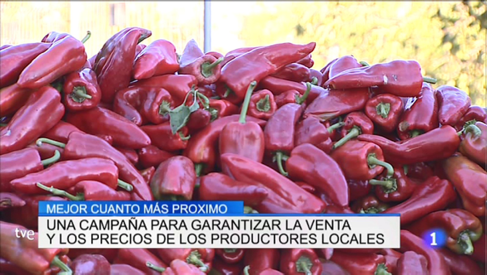 Telerioja en 2' - 02/12/19