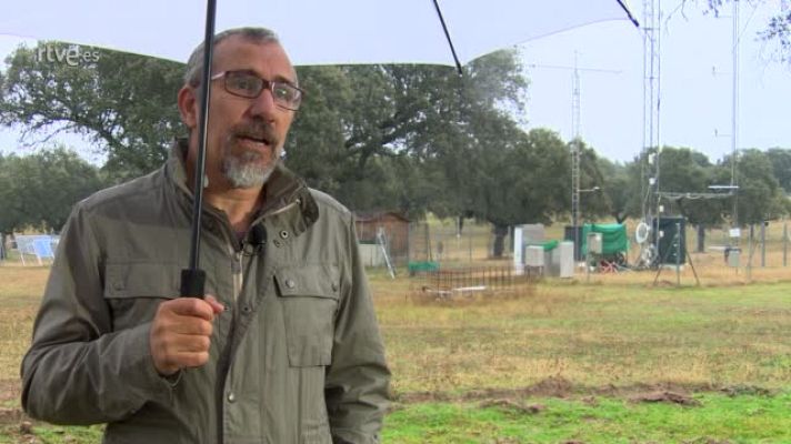¿Te acuerdas? - Gerardo Moreno: " La dehesa es un ecosistema neutral en el fluyo de CO2"