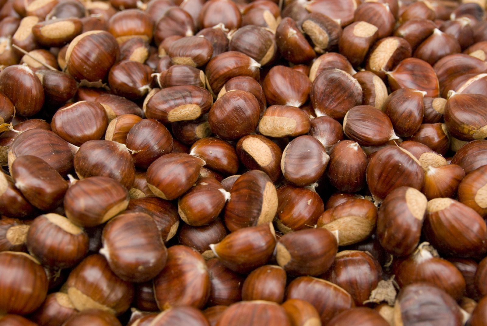 Castañas, la joya de El Tiemblo - Aquí la Tierra | Ver