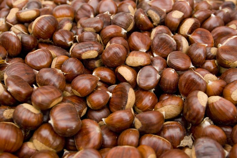 Castañas, la joya de El Tiemblo - Aquí la Tierra | Ver