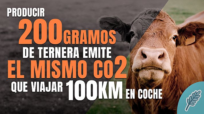 Telediario 1 - Cumbre del Clima: Cambiar de dieta para reducir el calentamiento global