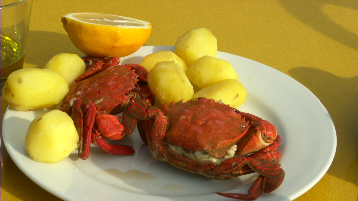 Aquí la Tierra - La cofradía de la nécora en Noja