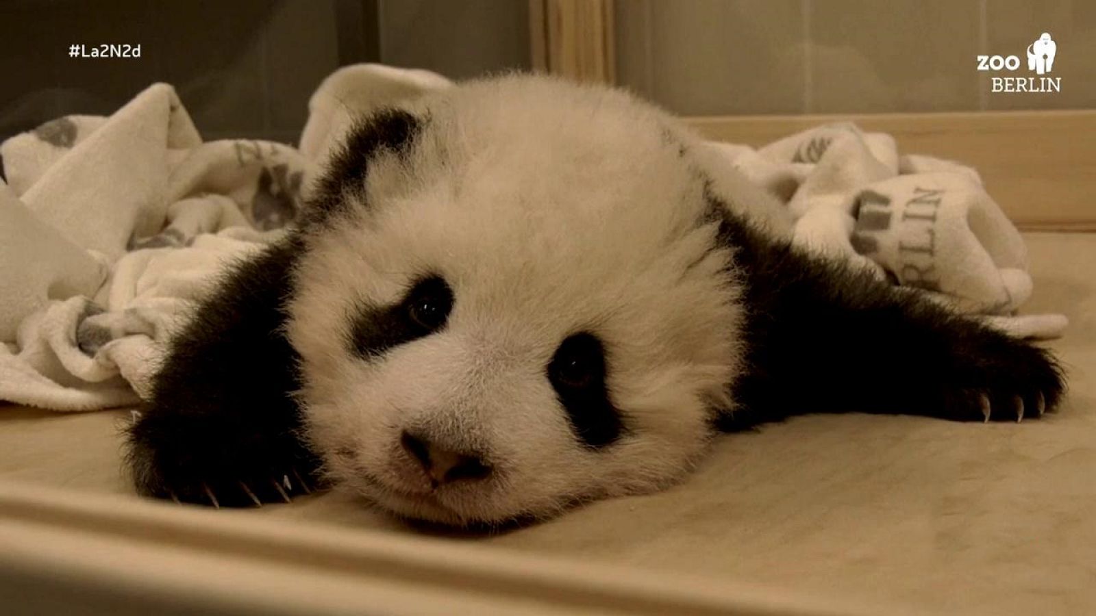 La 2 Noticias - 02/12/19 - ver ahora