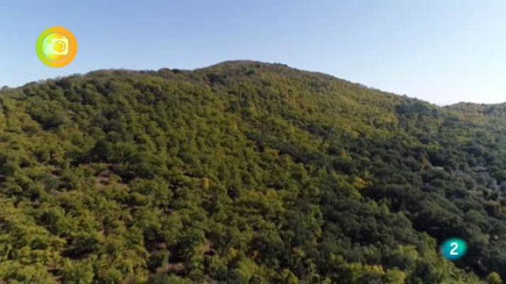 Agrosfera - Castaño del Robledo