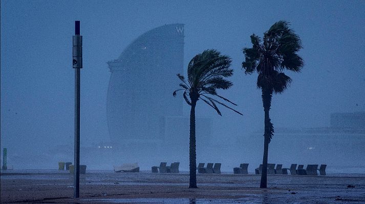 Telediario 1 - Telediario - 21 horas - 04/12/19 - Lengua de signos