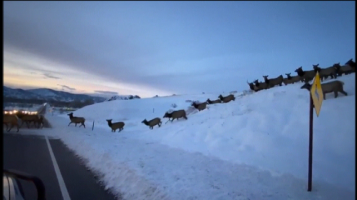 Teleplaneta - Teleplaneta - 02/12/2019