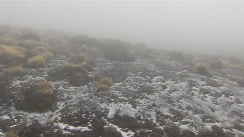 Canarias en 2' - 05/12/2019