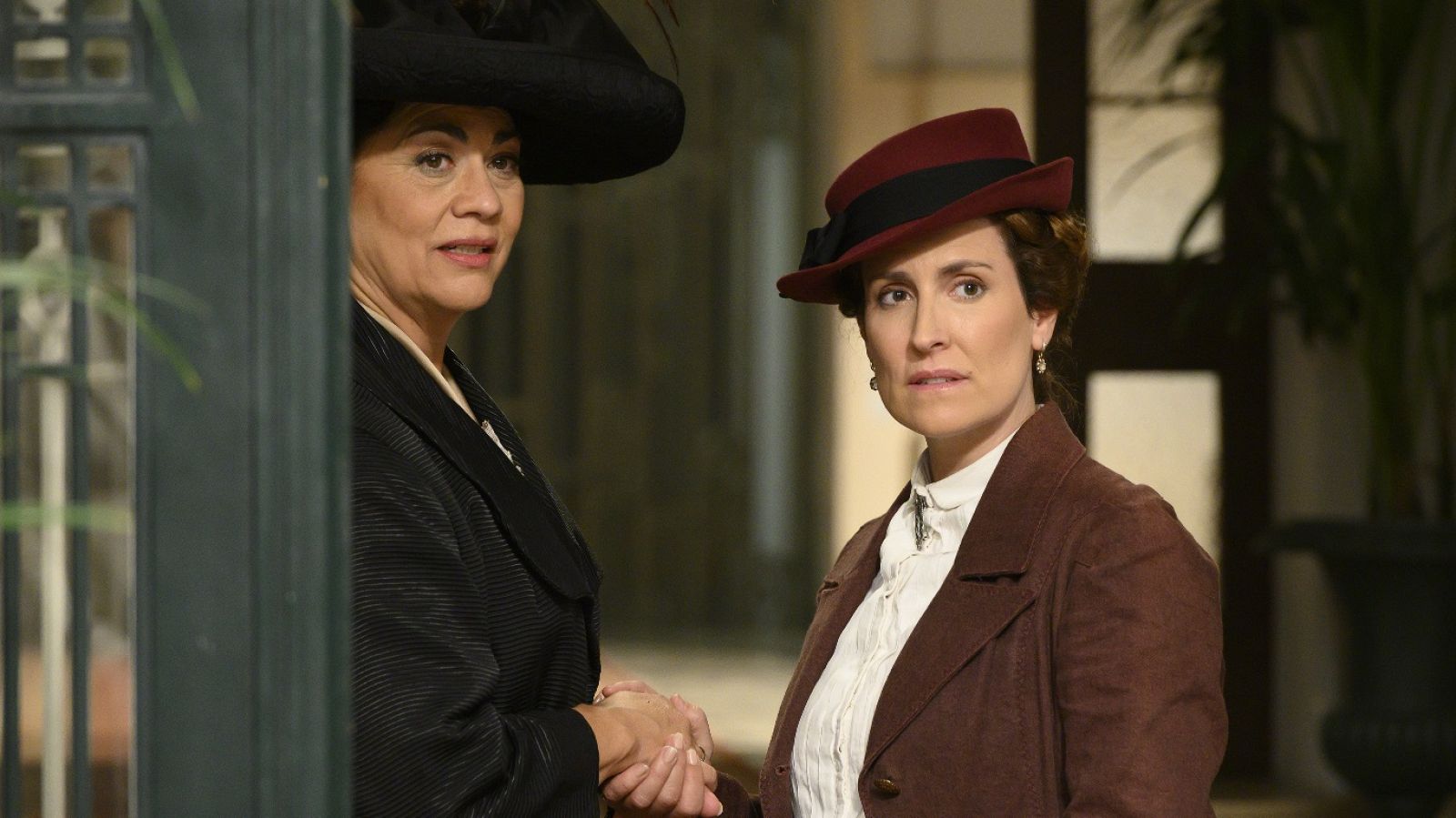 Acacias 38 - Capítulo 1154 - Ver ahora