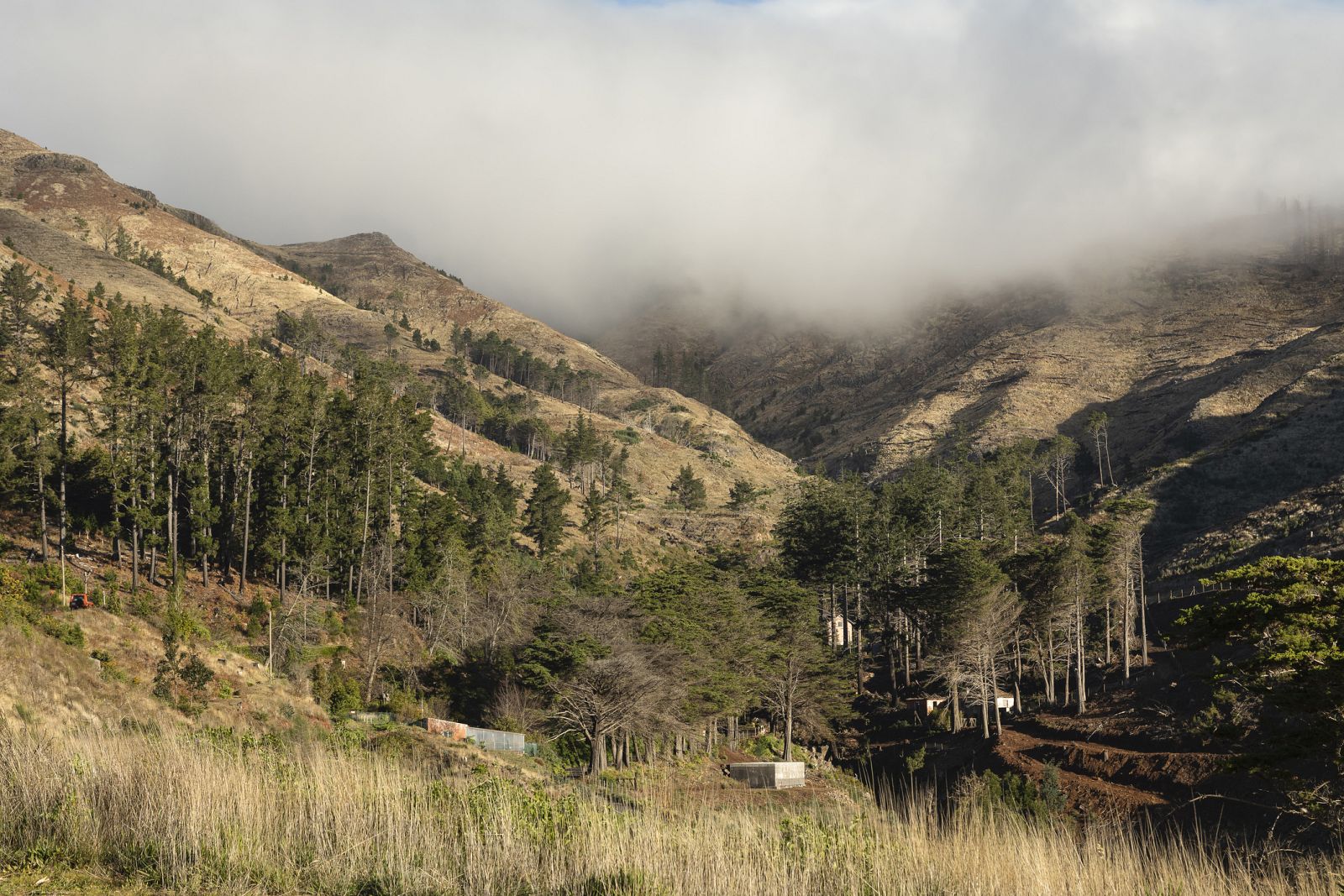 Los Portales, una ecoaldea de Sevilla - España Directo | Ver
