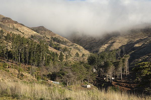 España Directo - Los Portales, una ecoaldea de Sevilla