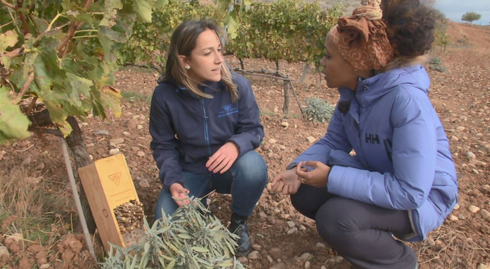 Aquí la Tierra - 05/12/19 - ver ahora