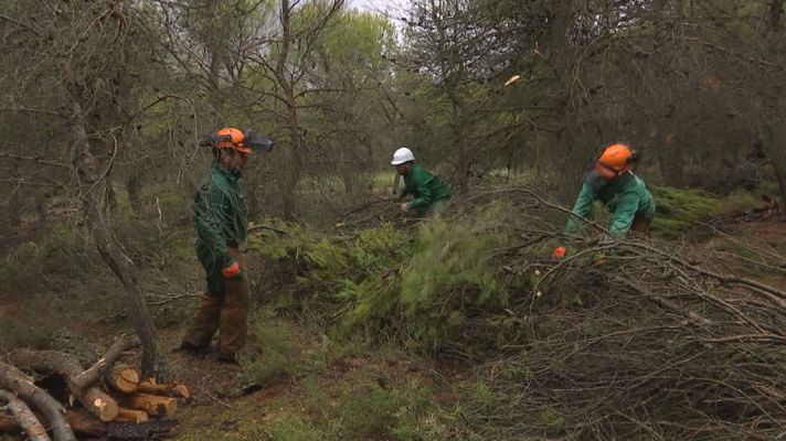 Comando Actualidad - Cómplices del cambio