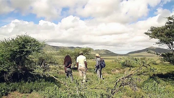 Universo UNED - UNED - 06/12/19