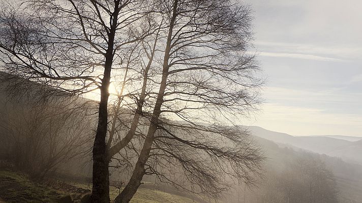 El tiempo - Cielo despejado en la mayor parte del país, con niebla densa en el interior