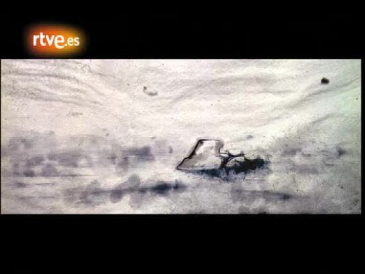 Cultura en Rtve.es - Tráiler de 'Arráncame la vida'