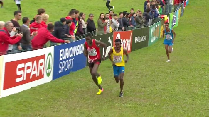 Cross - Campeonato de Europa Carrera Senior Masculina