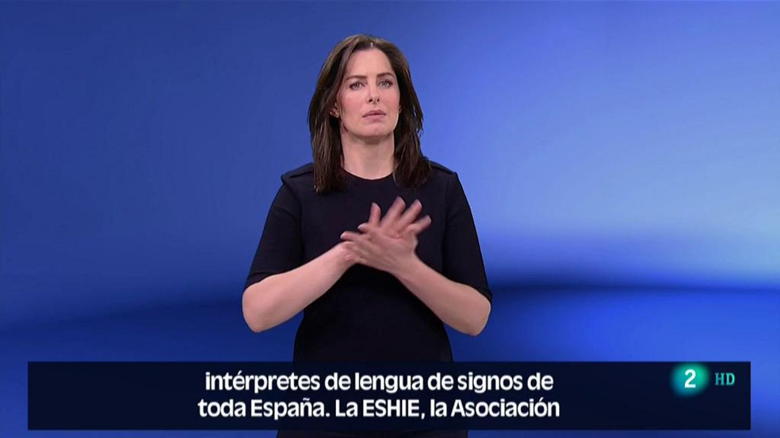 En Lengua de Signos - Encuentro Formativo de Intérpretes de Lengua de Signos - ver ahora