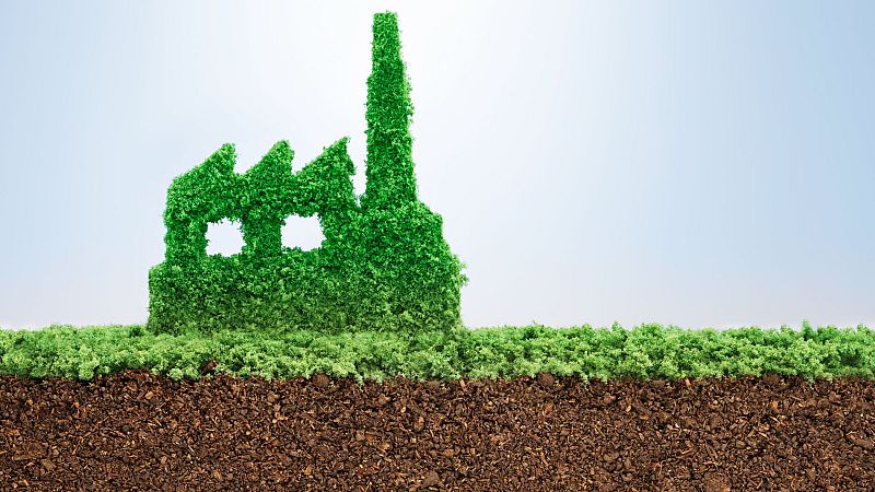 Son todas las iniciativas ecolgicas realmente 'verdes'?