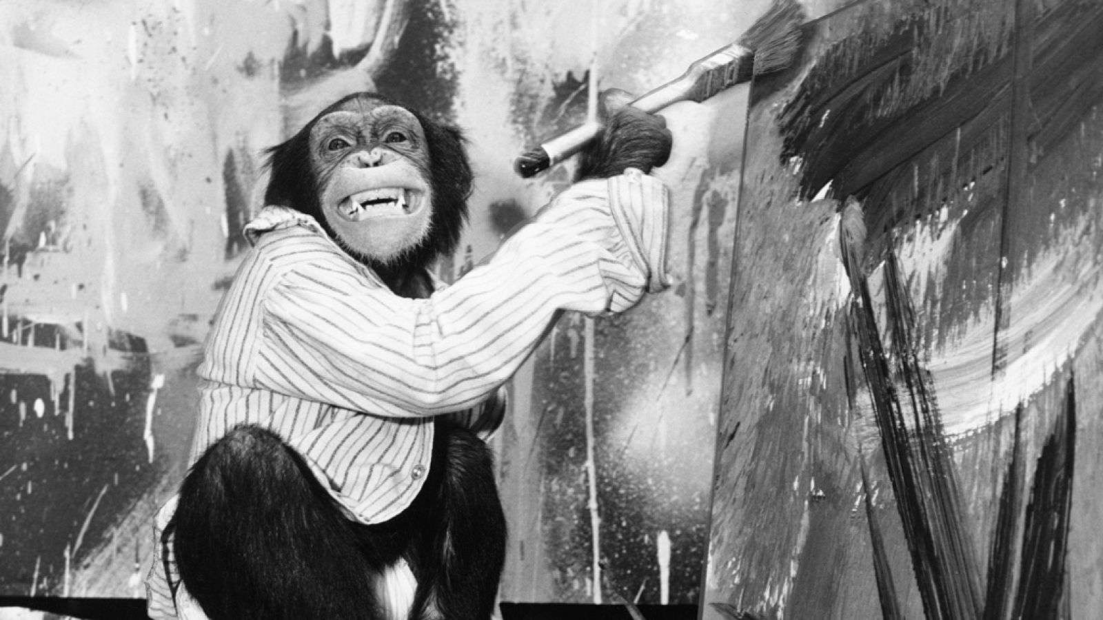 Se subastan las pinturas del famoso chimpancé Congo
