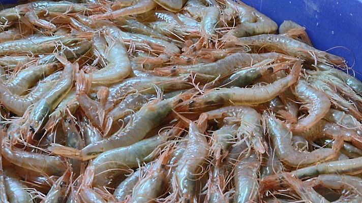 Aquí la Tierra - Aquí la Tierra - 11/12/19