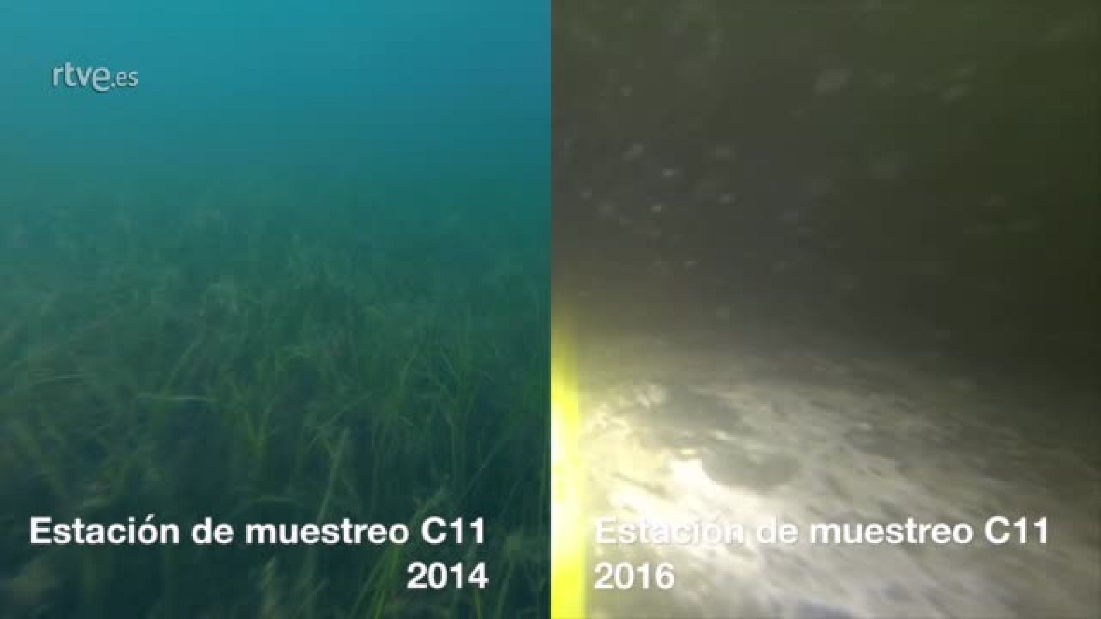 Los fondos esquilmados del Mar Menor