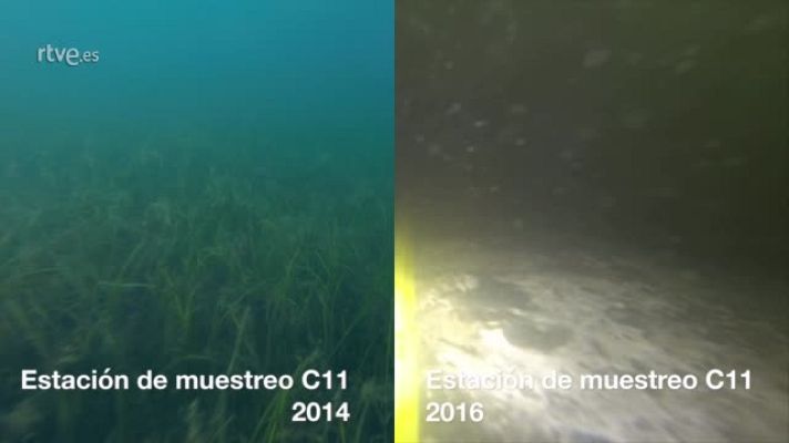 Informe Semanal - Los fondos esquilmados del Mar Menor