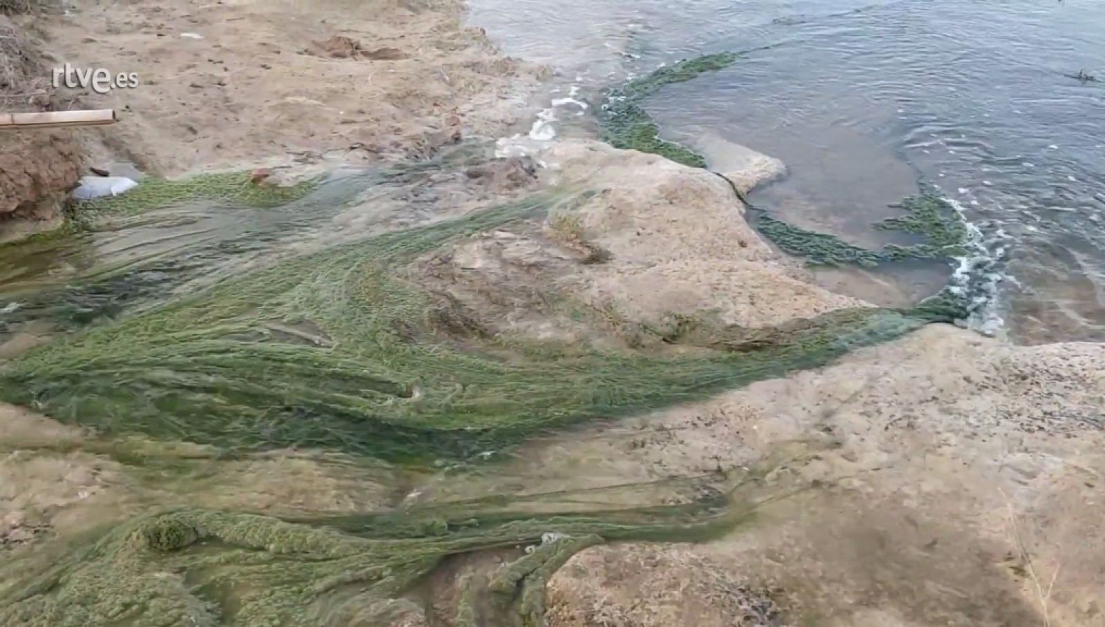 Así llegan los vertidos al Mar Menor - Informe Semanal | Ver