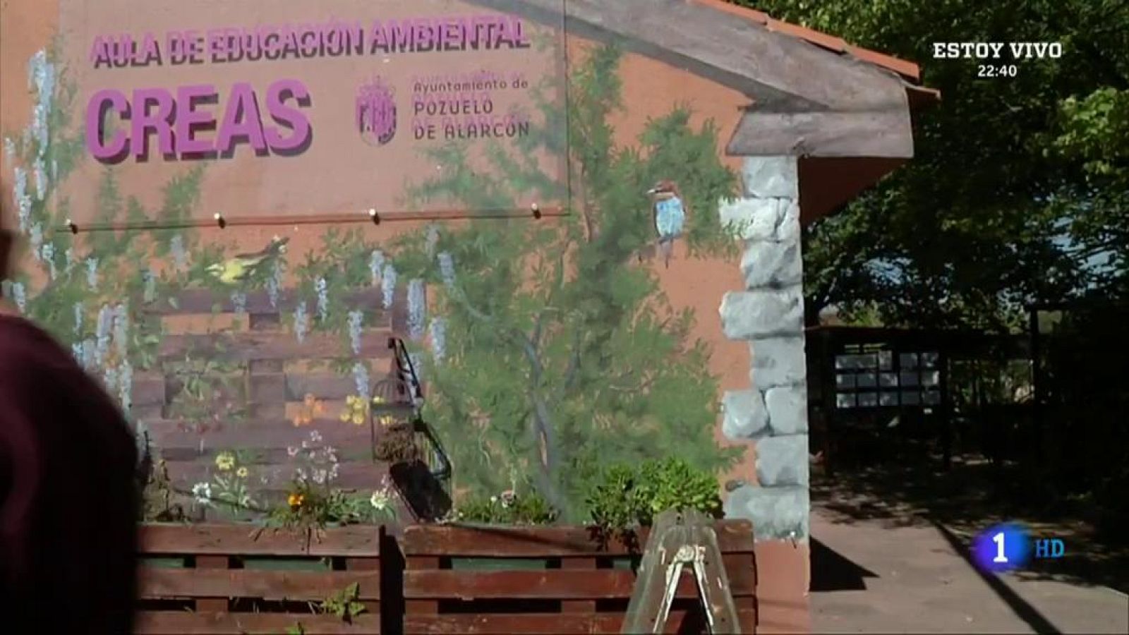 ¿Qué hacer con las hojas que caen de los árboles?