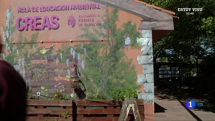 Aquí la Tierra - ¿Qué hacer con las hojas que caen de los árboles?