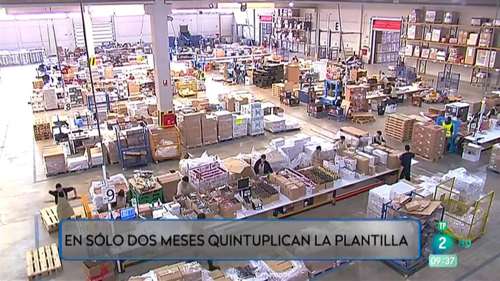 La cesta de Navidad da alegrías y empleo - Aquí hay trabajo | Ver