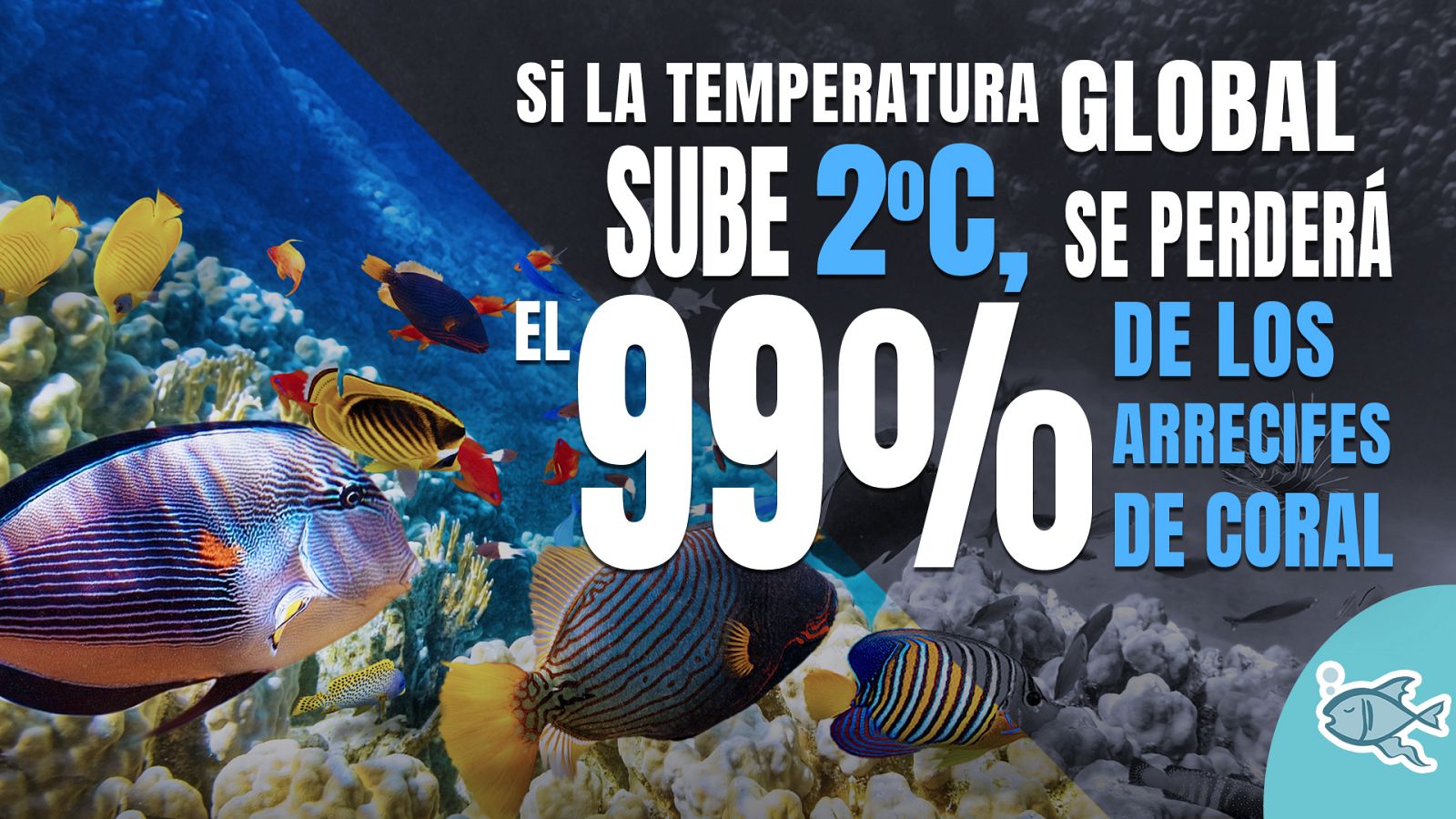 #EstamosATiempo: Los pescadores luchan contra el cambio climático