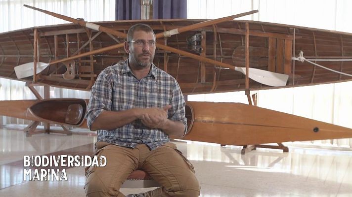 Sobresalientes - La mar de buena