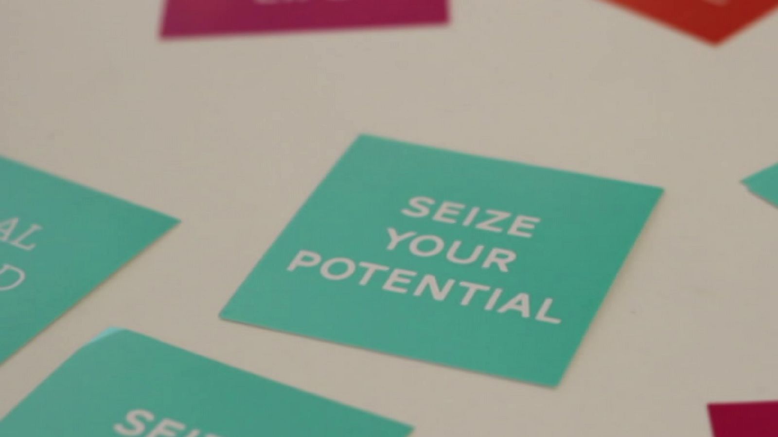 Cámara abierta - Programa Wander, la Pájara Ciclomensajería y Reveligion - ver ahora