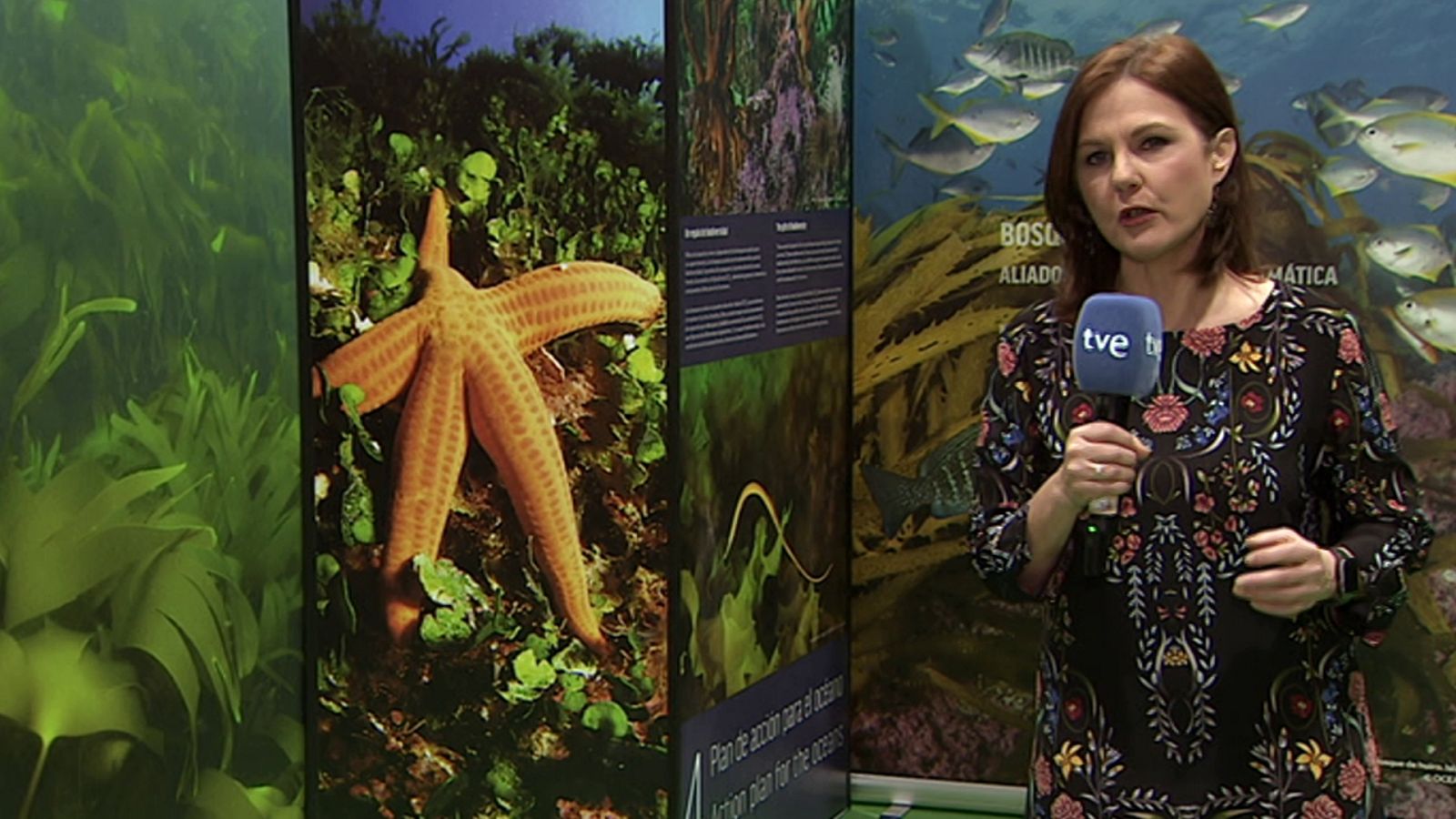 Agrosfera - 14/12/19 - ver ahora