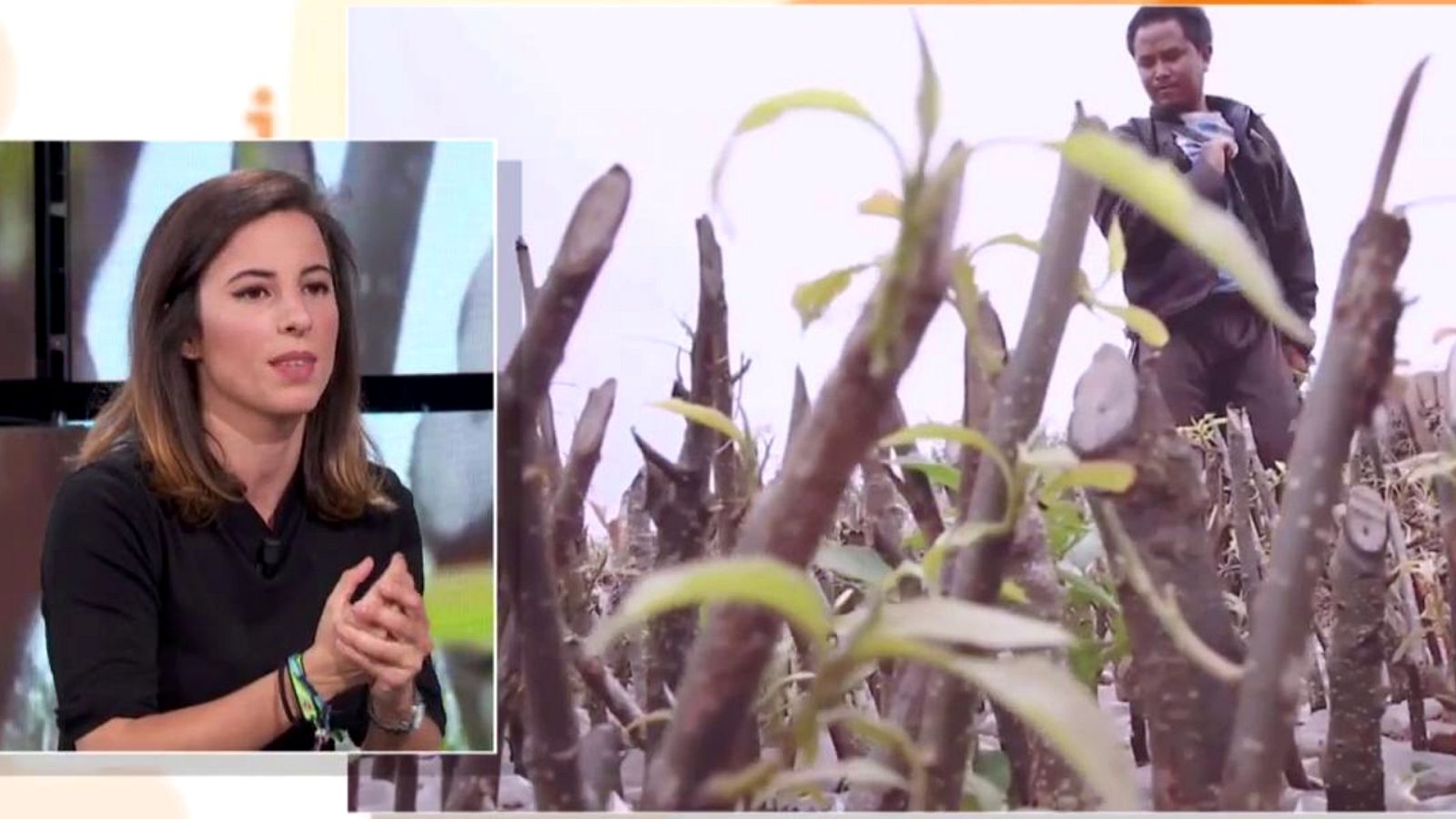 Fábrica de ideas de TVE - 14/12/19 - ver ahora