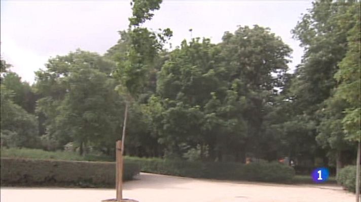 Informativo de Madrid - Informativo de Madrid 2 - 16/12/19