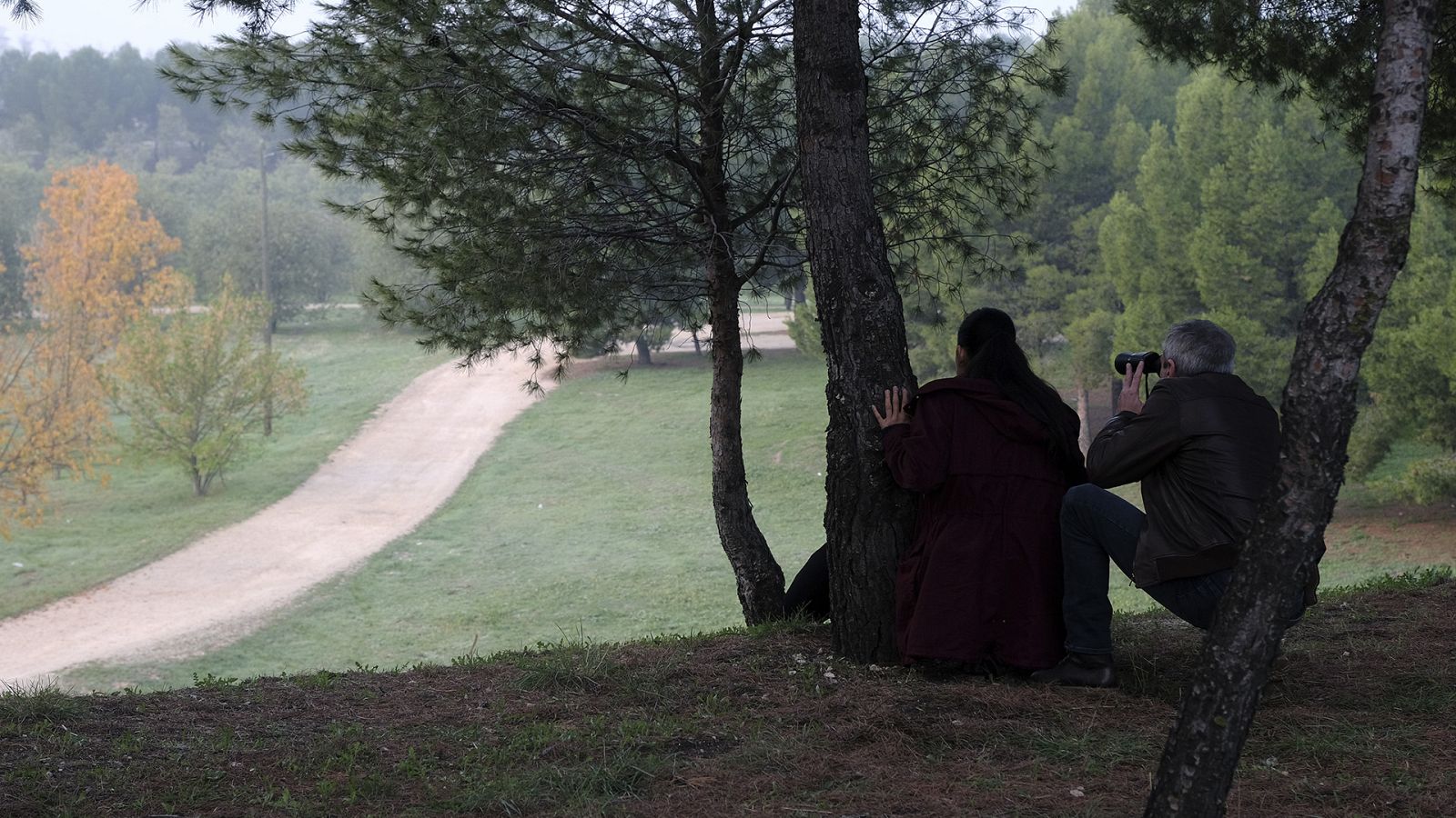 Servir y proteger - Episodio 659 - Ver ahora