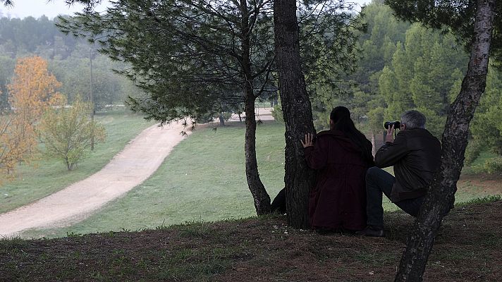 Servir y proteger - Episodio 659