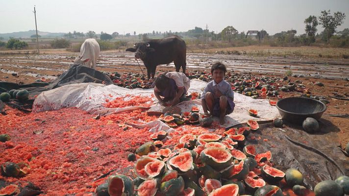 Documentos TV - Las semillas del beneficio - Avance